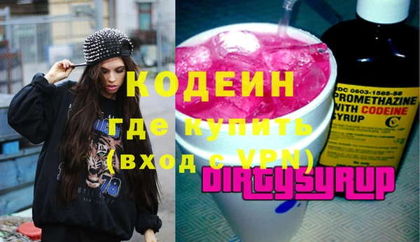 хмурый Дмитров