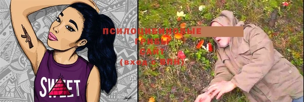 прущая мука Алзамай