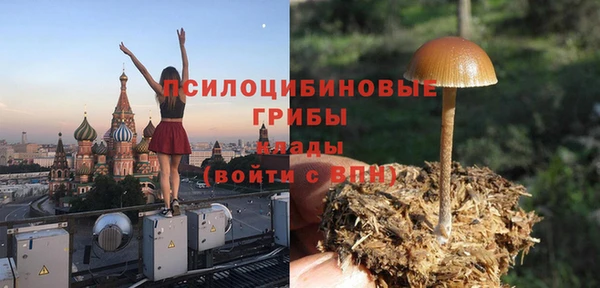 первитин Алексеевка