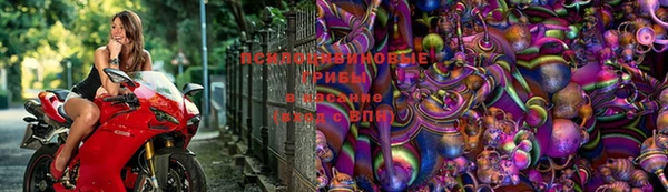 кристаллы Алексин