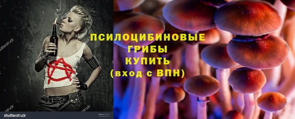 прущая мука Алзамай