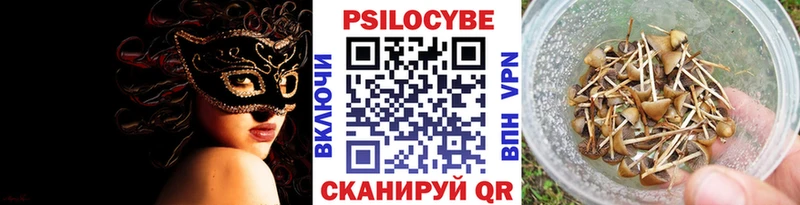 Псилоцибиновые грибы Psilocybine cubensis  Октябрьск 